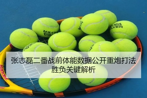 张志磊二番战前体能数据公开重炮打法胜负关键解析